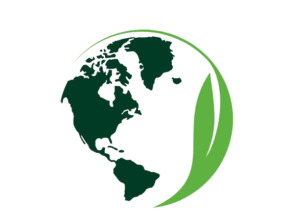 solo_logo-removebg-preview