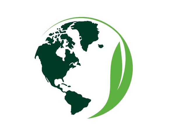 solo_logo-removebg-preview